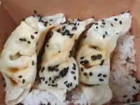 Gyoza poulet halal