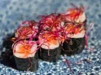 Maki Saison Printemps